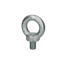 Lyftögleskruv DIN580 24mm, 1800 Kg