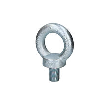 Lyftögleskruv DIN580 36mm, 5100 Kg
